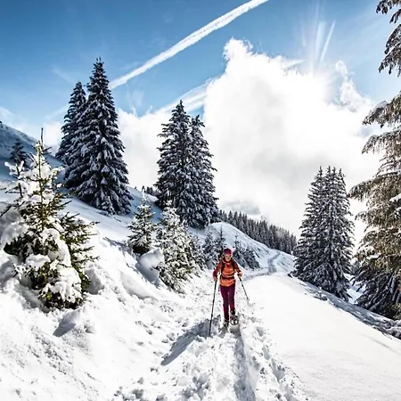 In Near Cable Car Station * Châtel
